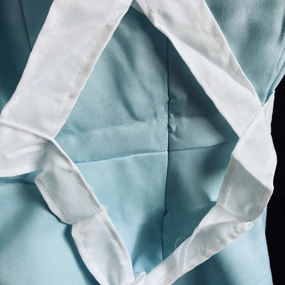 NWOT! Blue and White Maid Dress Costume
